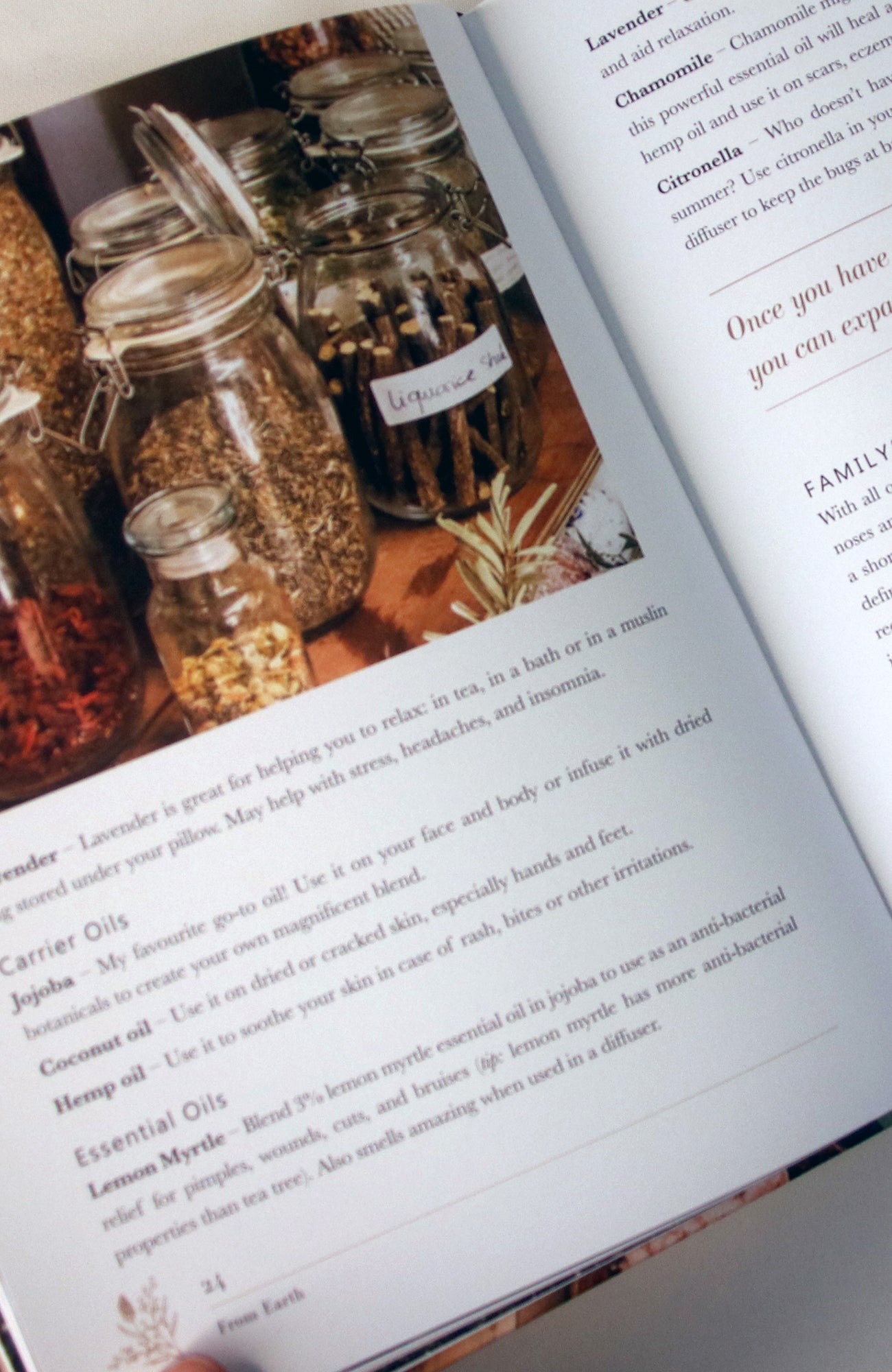 From Earth: A guide to creating a natural apothecary